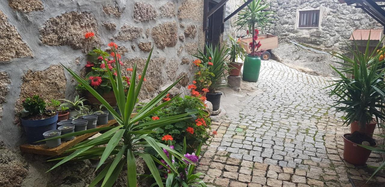 Branca Goncalves Belmonte Villa Belmonte  Kültér fotó
